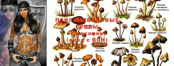 бошки Армянск