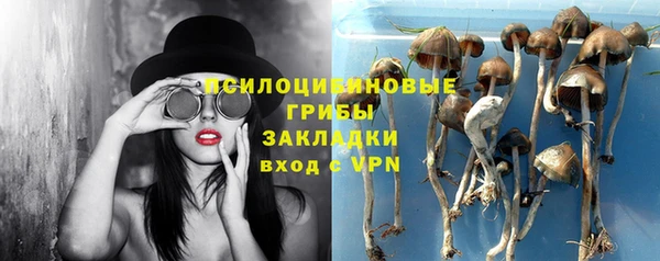 а пвп мука Арсеньев