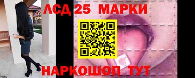 гидропоника Пушкино