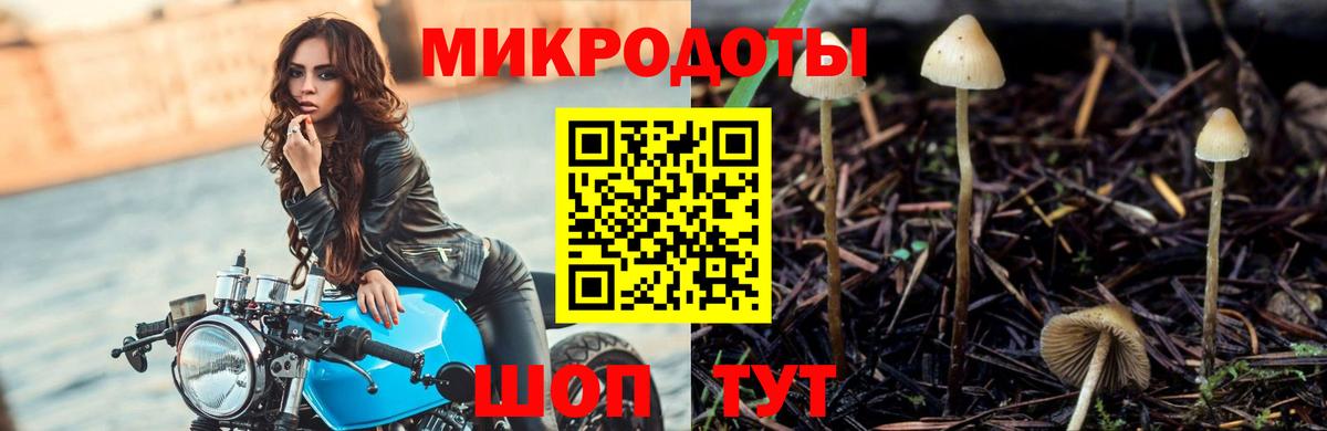 Псилоцибиновые грибы прущие грибы  Вход с VPN  Галлюциногенные грибы Psilocybine cubensis  Тамбов 